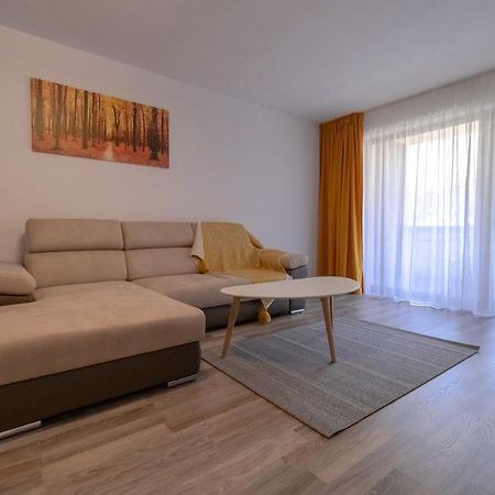 Transylvanian Apt. W/ Lrg. Terrace And Parking - Karpatenhaus บราชอฟ ภายนอก รูปภาพ